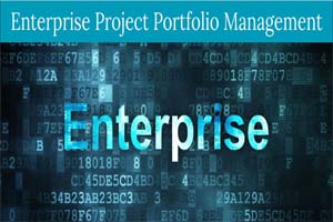 business consulting - enterprise program management